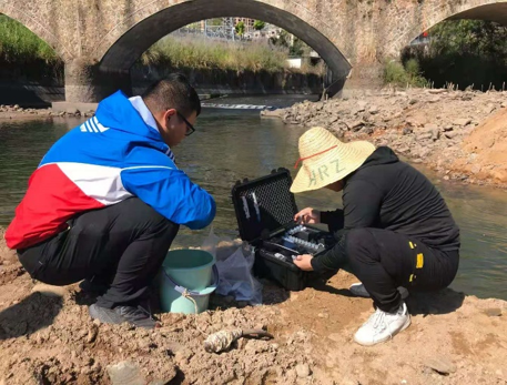 企業核查解決方案