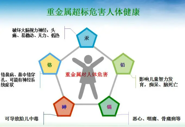重金屬有哪些危害